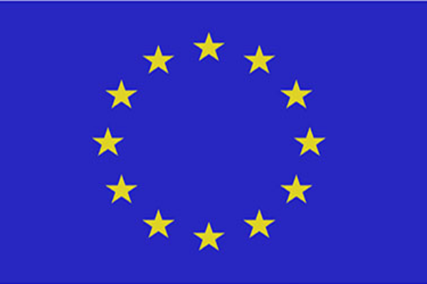 European Marketing and Management Association 